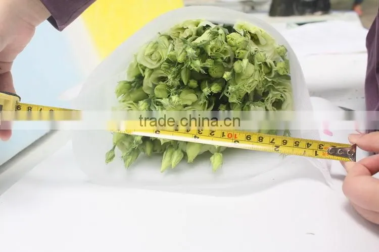 Wide varieties new coming beautiful hybrid eustoma grandiflorum