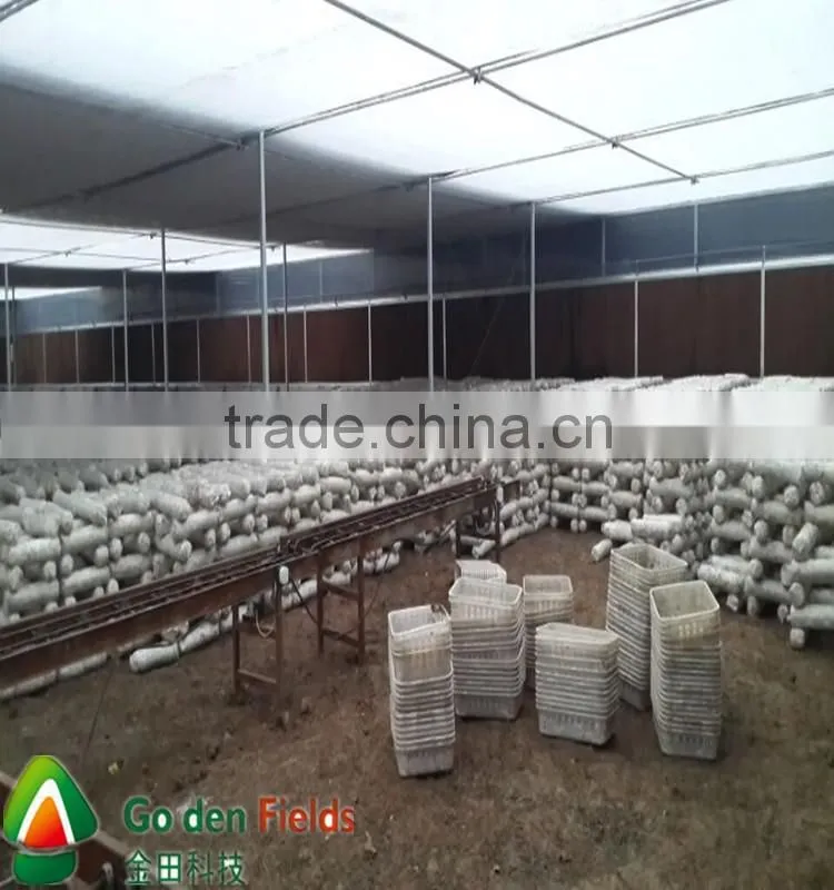 Hot Sale High Quality Cultivated Organic Dried Shiitake cultivation rods