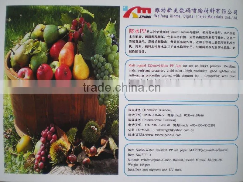 120gsm~150gsm waterproof high quality pp paper canvas factory