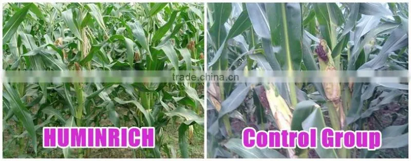 FAQ 14--Huminrich Compound Amino Acid Fertilizer For Vegetables