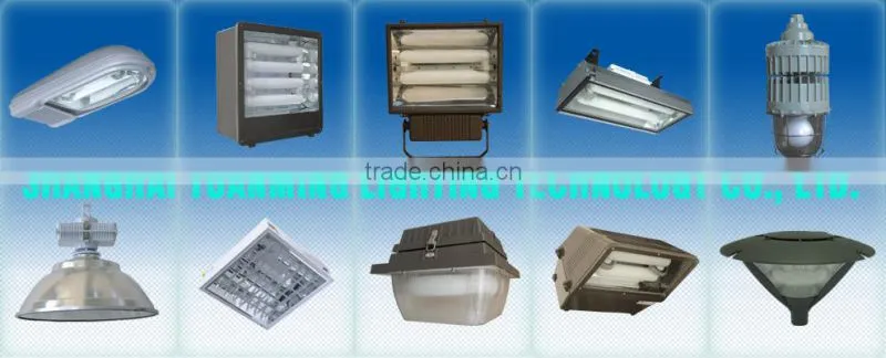 40-600W E39.E40 magnetic light induction lighting led outdoor wall light