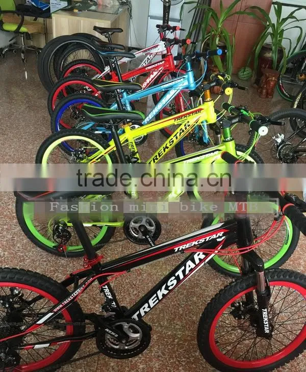 Bicycle Fashion Mini Bike MTB 10 Inches Sports Gear Steel Folding Bike Sell Like Hot Cakes