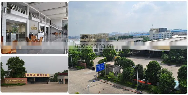 Window & Door, Curtain Wall, Heatsink, LED, Solar Frame, Furniture 6063-T5 Powder Coating Aluminium Profile
