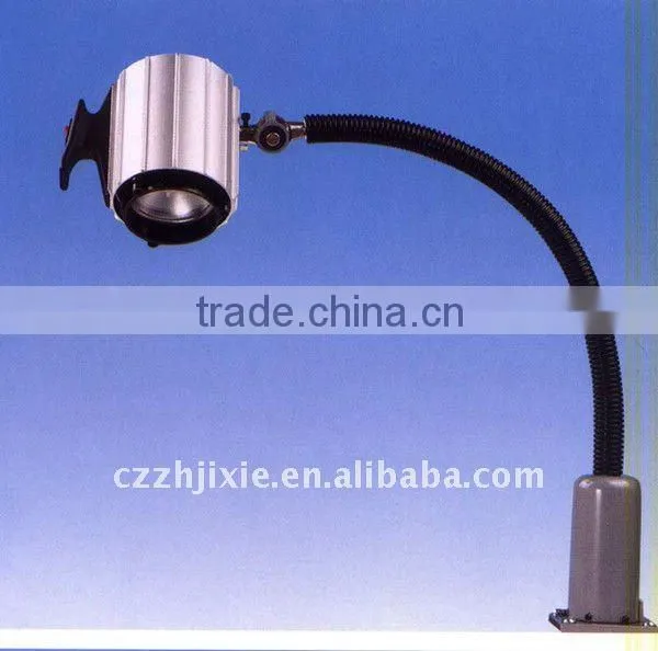 Flexible Halogen Light