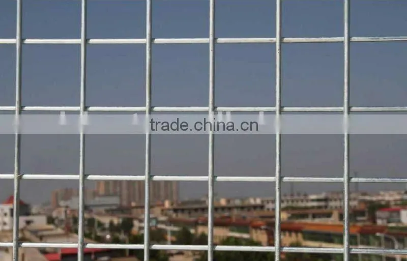 galvanized welded wire mesh livestock panel