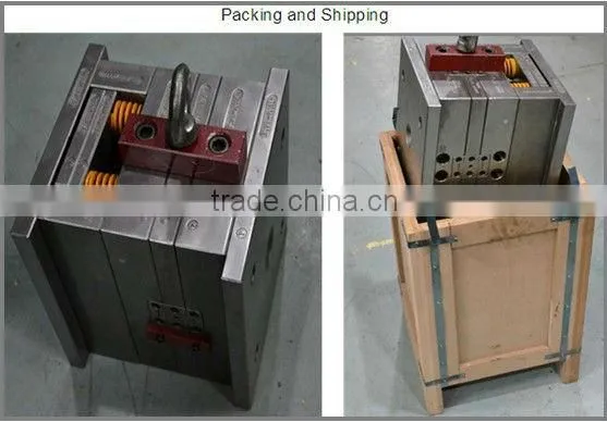 Custom precision plastic inject mold
