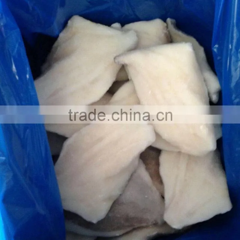 Frozen Fish Fillets-John Dory fillet for market