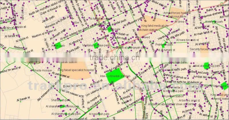 Saudi Arabia Digital Mapinfo Map ESRI shp format map