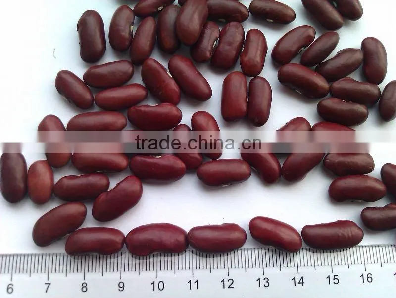 Red Kidney Bean( 2013 crop, heilongjiang origin, hps)