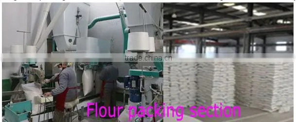 Steel Structural Wheat Flour Mill Complete Plant 50 Ton Per Day