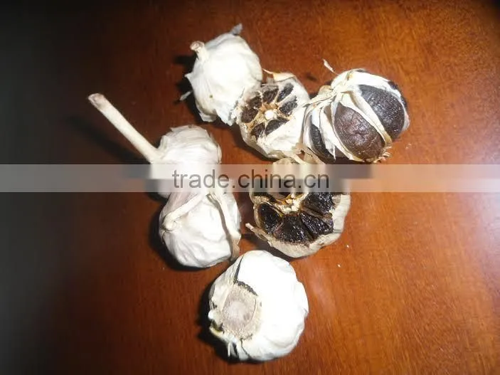 BLACK GARLIC (Skype: davis.thong)