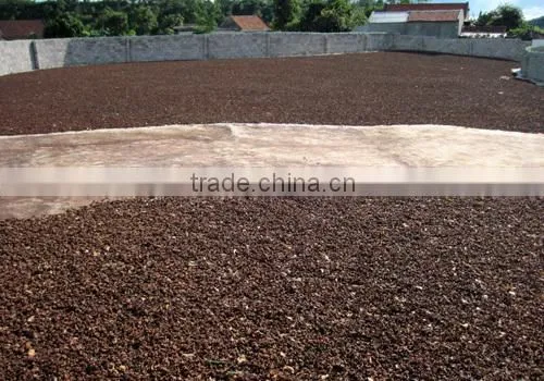 Viet Nam Star Aniseed