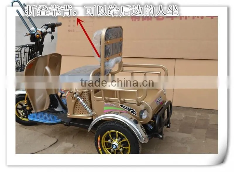 China Factory Export Three Wheel Electric Tricycle Cargo Bike 48V 500W
