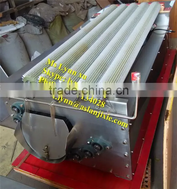 potato ginger washing peeling machine /ginger peeling cleaning machine