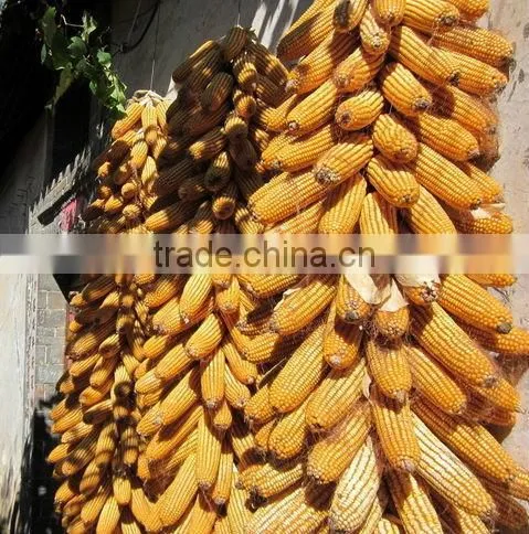 Popular agricultural corn thresher machine/corn sheller machine//008613676951397