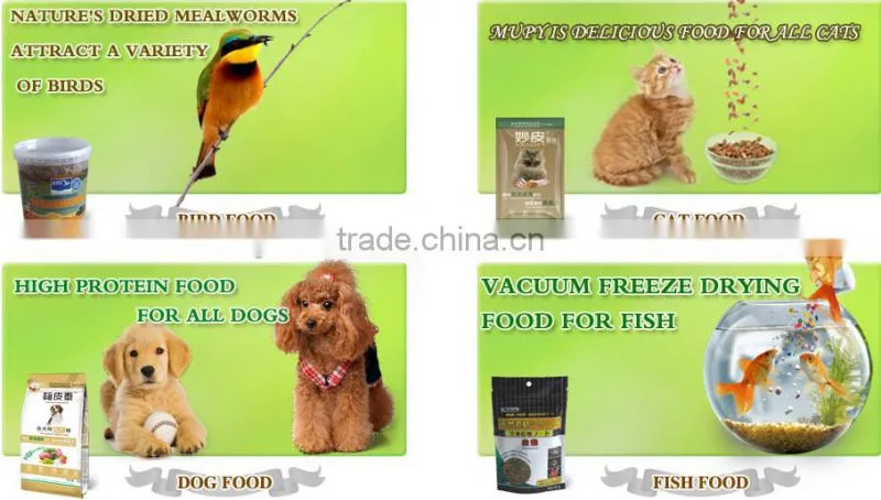 price arowana sturgeon fish farming food frozen crickets