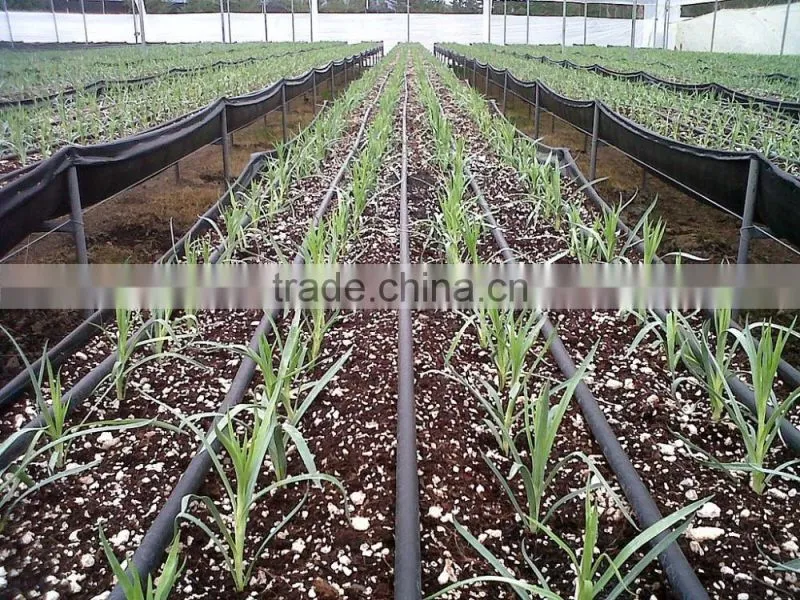1000ft Irrigation Line 12" spacing 12mil trickle soaker garden hose Drip Tape