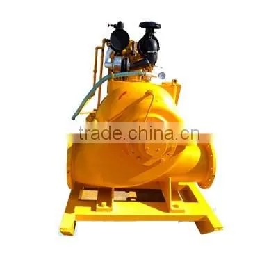 200S-95A High Capacity Cast Iron Split Case Pump