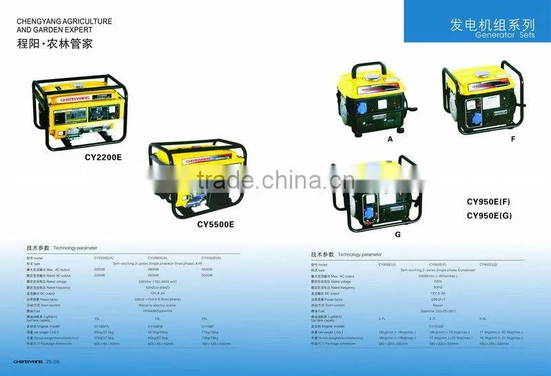 CY-5500 Gasoline power generator