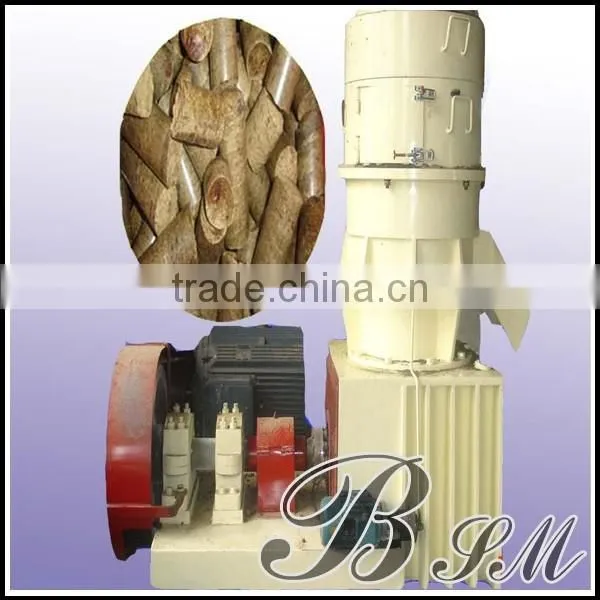 2016 BSM supply good quality briquette machine
