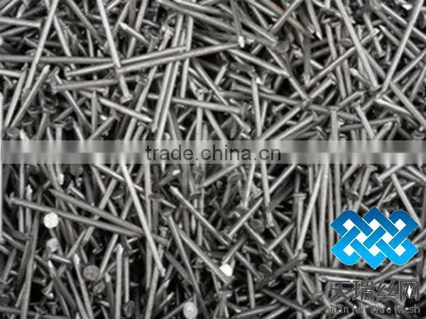 Galvanized iron nails (factory)