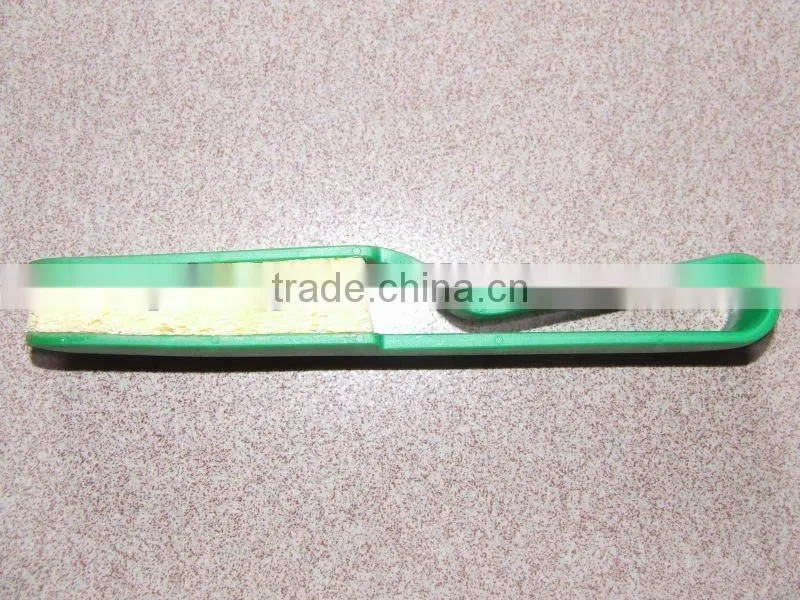 plastic plant brosse cleaning the leaf