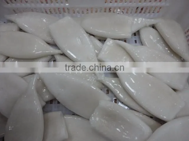 illex squid tube frozen