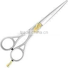 Professional Hair Cutting Scissors
