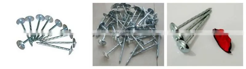 umbrella roofing nails 2.5