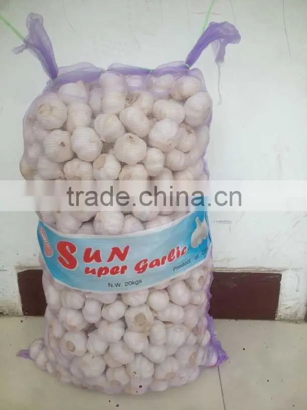 Jinxiang garlic hot sale garlic in 2016 10kg mesh bag packing