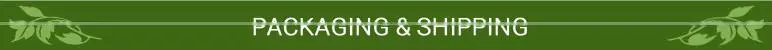 100% Pure Best Certified Quality Moringa Tea for Sale