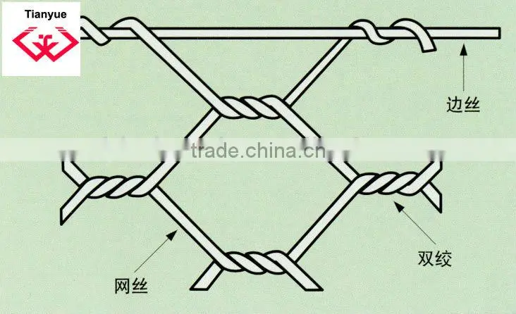 PVC Coated Hexagonal Wire Mesh