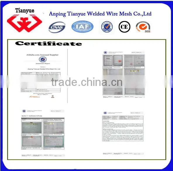 stainless steel nails manufacturer(15 years export experience)