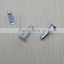 blind rivet with top-grade quality--precision hardware parts or machined parts