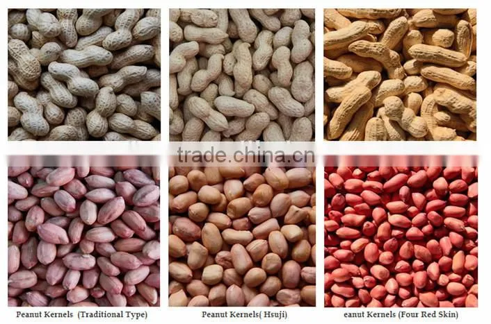 new peanut peanut kernels for sale