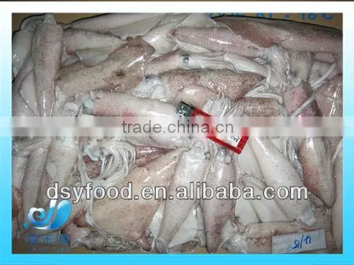 Frozen whole baby Squid