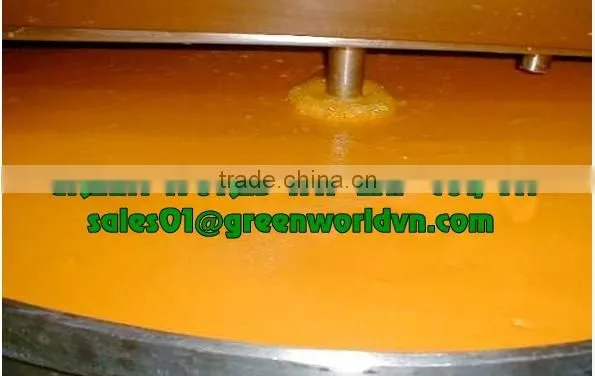 HOT SELL IQF PASSION FRUIT PUREE FROM VIETNAM