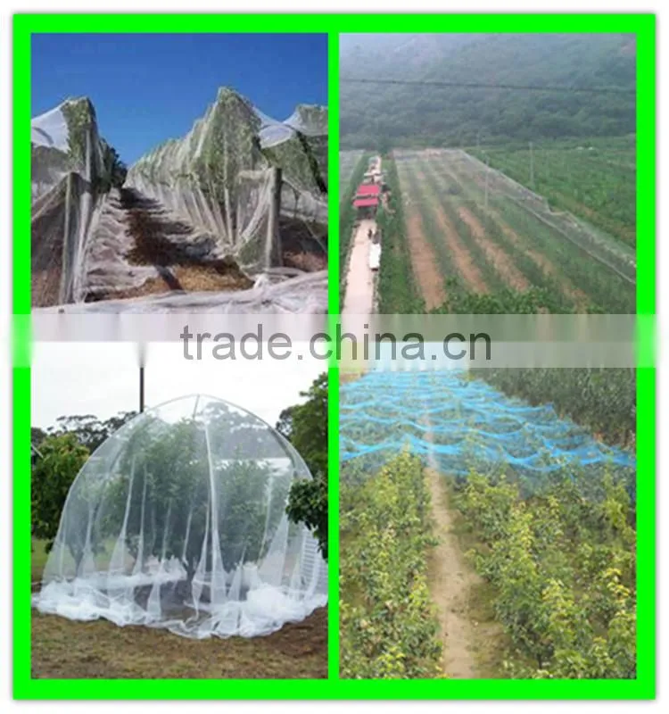 High quality garden used white anti bird net from Henan
