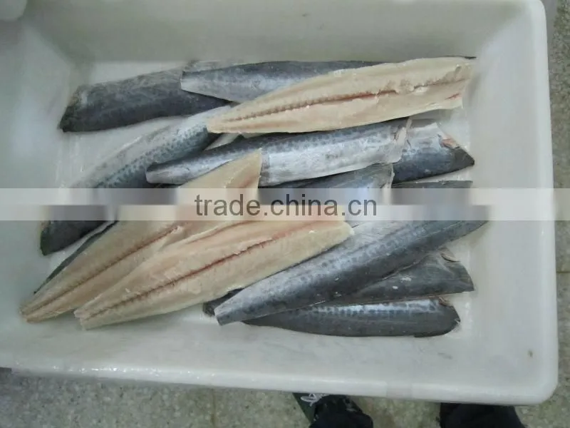 frozen mackerel prices, frozen spanish mackerel fillet wholesale, types of fish fillets
