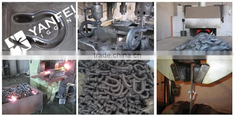 Factory Price Galvanized Screw Pin US Type Steel Drop Forged D Shackle
