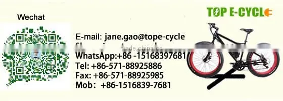 TOP/OEM wholesale bottle tube lithium battery lifepo4