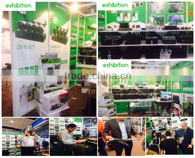 Vite vision indoor network rotating dome surveillance IP cameras