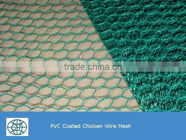 cheap price high quality fence mesh chicken wire mesh