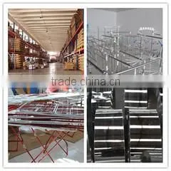 Shandong Dingyang Economic And Trade Co., Ltd. company overview - view 3