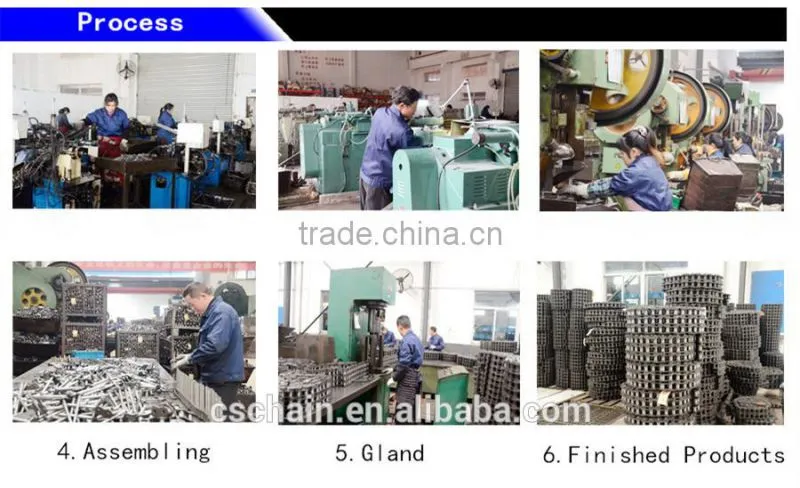 Professional Heavy Duty Chain For Industry