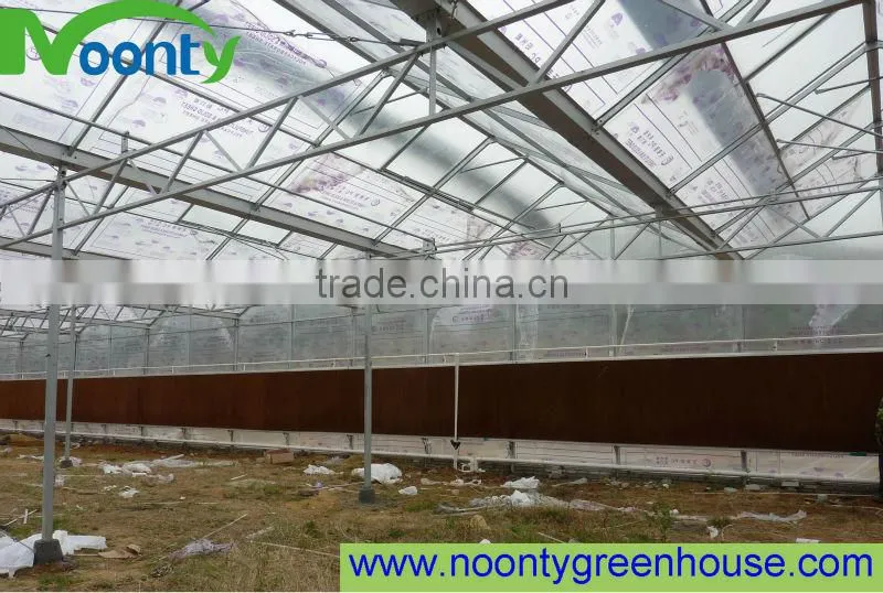 Multi span Greenhouse