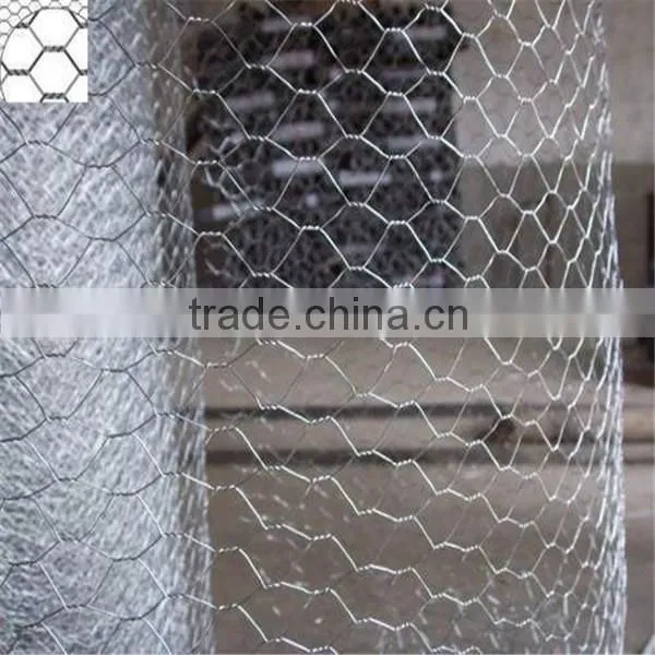 hot dipped Hexagonal wire mesh stainless/pvc hexagonal wire mesh