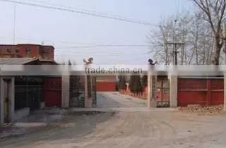 SZ Blinggems Co., Ltd. company overview - view 1
