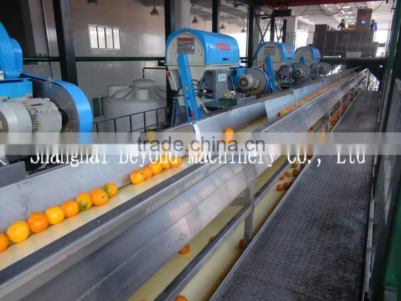 200 tons per day automatic Orange citrus processing line fruit juice production line