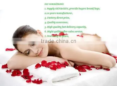 hot sell best camping mattress from china supplier DS-LX36